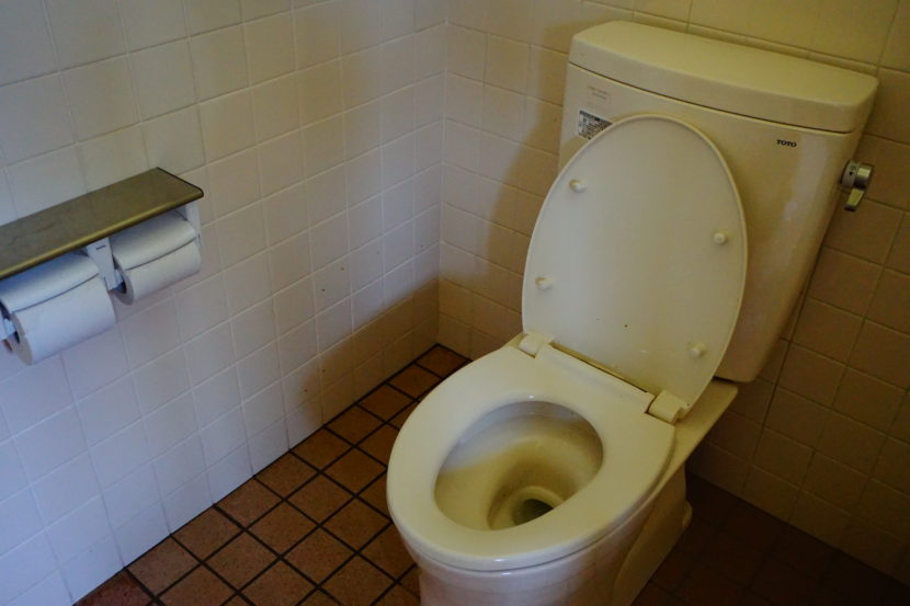 だるま山高原キャンプ場　場内トイレ内　唯一の大便器